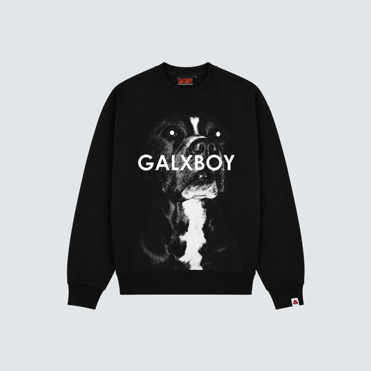 CARROT CREW NECK SWEATER